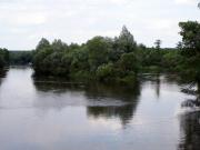 foto bobrowniki zdjęcia