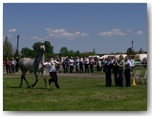 Święto Koni Pajęczno 2010