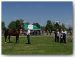 Święto Koni Pajęczno 2010