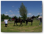 Święto Koni Pajęczno 2010