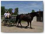 Święto Koni Pajęczno 2010
