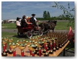 Święto Koni Pajęczno 2010