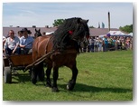 Święto Koni Pajęczno 2010