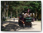 dni pajęczna 2010