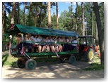 dni pajęczna 2010
