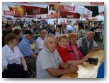 dni pajęczna 2010