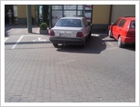 Parkingowe święte krowy