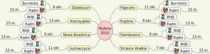 Wybory Samorządowe 2010 Pajęczno, Działoszyn, Kiełczygłów, Nowa Brzeźnica, Rząśnia, Siemkowice, Strzelce Wielkie, Sulmierzyce, powiat pajęczański - kandydaci