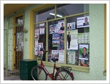 Wybory Samorządowe 2010 Pajęczno, Działoszyn, powiat pajęczański