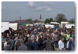 targi końskie pajęczno 2011