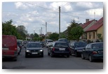 targi końskie pajęczno 2011