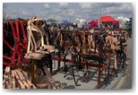 targi końskie pajęczno 2011