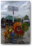 targi końskie pajęczno 2011