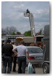 targi końskie pajęczno 2011