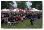 dni działoszyna 2011