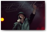 dni działoszyna 2011