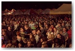 dni działoszyna 2011