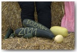 dożynki pajęczno 2011