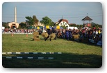 festiwal jeździecki Gajewniki 2011