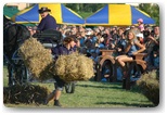 festiwal jeździecki Gajewniki 2011