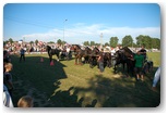 festiwal jeździecki Gajewniki 2011