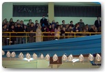 studniówka 2012 pajęczno zespół szkół