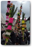 niedziela palmowa trębaczew 2012