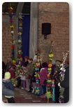 niedziela palmowa pajęczno 2012