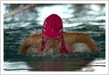 liga dzieci pływanie pajęczno 2012