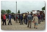 targi końskie pajęczno 2012