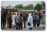 targi końskie pajęczno 2012