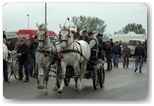 targi końskie pajęczno 2012