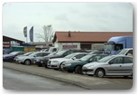 targi końskie pajęczno 2012