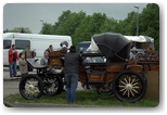 targi końskie pajęczno 2012