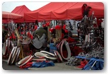 targi końskie pajęczno 2012