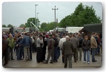 targi końskie pajęczno 2012