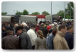 targi końskie pajęczno 2012
