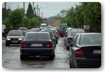targi końskie pajęczno 2012