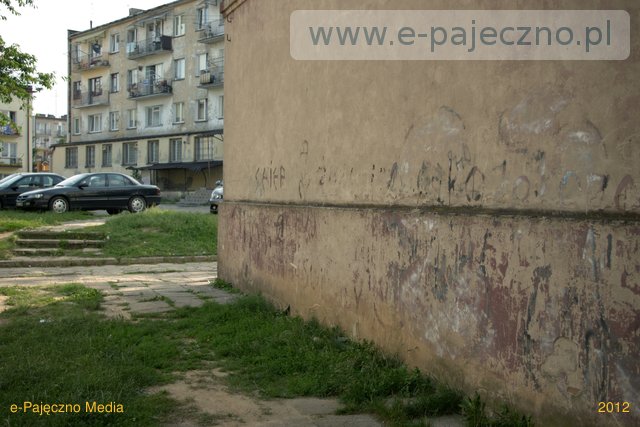 pajęczno wiśniowa