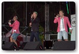 festyn wakacyjny dni pajęczna 2012
