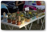 dni działoszyna 2012 - sobota
