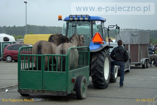 targi końskie wrzesień 2012