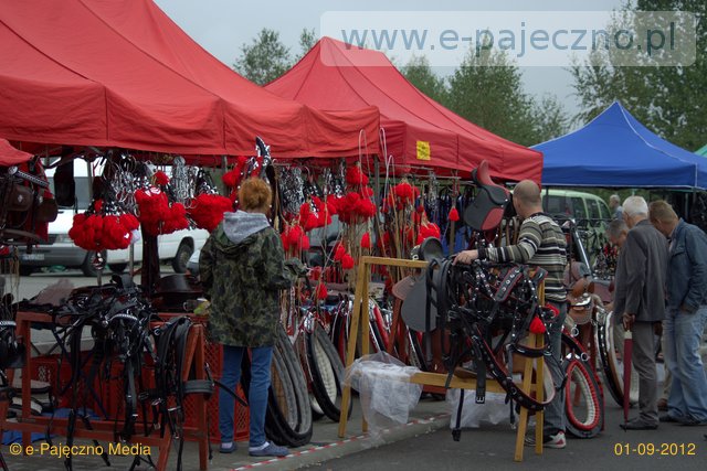 targi końskie wrzesień 2012
