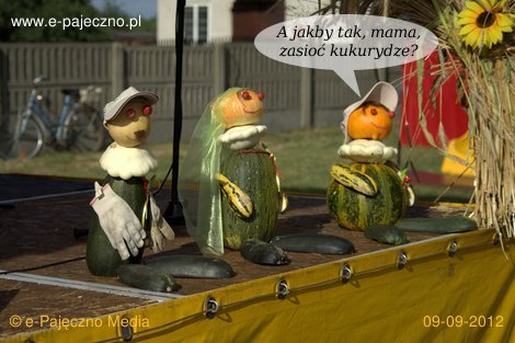 dożynki stróża gmina rząśnia
