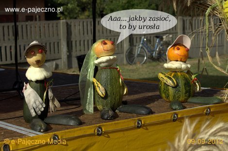 dożynki stróża gmina rząśnia