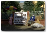 dożynki gminy rząśnia w stróży
