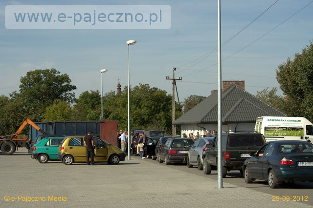 drzewka, żarówki za sprzęt, makulaturę