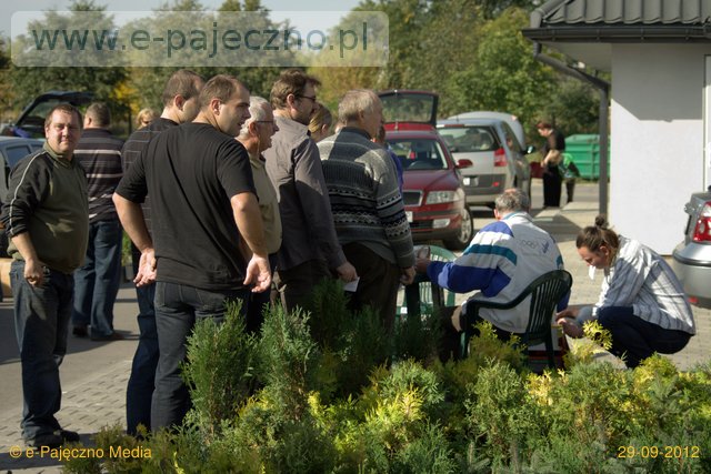 drzewka, żarówki za sprzęt, makulaturę