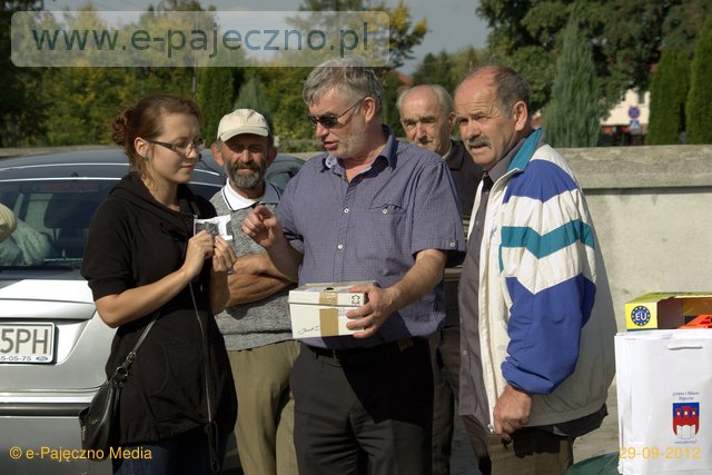 drzewka, żarówki za sprzęt, makulaturę