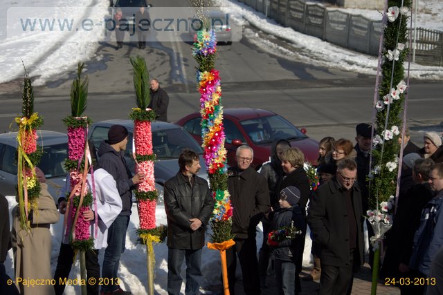 palmy trębaczew gmina działoszyn